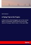 A Flying Trip to the Tropics