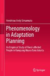 Phenomenology in Adaptation Planning