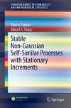 Stable Non-Gaussian Self-Similar Processes with Stationary Increments