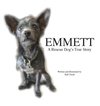 Emmett