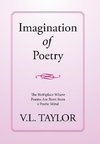 Imagination of Poetry