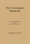 The Cosmological Singularity