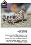 Assessment of Damage by the Tree Locust (Anacridium melanorhodon melanorhodon)