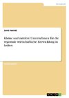 Kleine und mittlere Unternehmen für die regionale wirtschaftliche Entwicklung in Indien