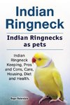 Indian Ringneck. Indian Ringnecks as pets. Indian Ringneck Keeping, Pros and Cons, Care, Housing, Diet and Health.