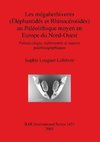 Les mégaherbivores (Éléphantidés et Rhinocérotidés) au Paléolithique moyen en Europe du Nord-Ouest