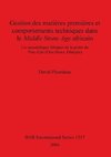 Gestion des matières premières et comportements techniques dans le Middle Stone Age africain