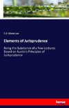 Elements of Jurisprudence