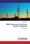 PMU Placement in Power System Network