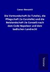 Die Vormundschaft (la Tutelle), die Pflegschaft (la Curatelle) und die Beistandschaft (le Conseil) nach dem Code Napoleon und dem badischen Landrecht