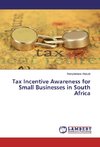 Tax Incentive Awareness for Small Businesses in South Africa