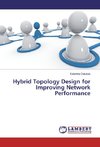 Hybrid Topology Design for Improving Network Performance