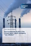 Environmental Audit in the closed joint- stock company 