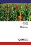 Gladiolus