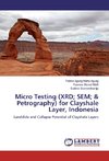 Micro Testing (XRD; SEM; & Petrography) for Clayshale Layer, Indonesia