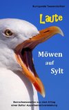 Laute Möwen auf Sylt