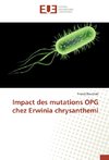 Impact des mutations OPG chez Erwinia chrysanthemi