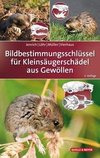 Bildbestimmungsschlüssel für Kleinsäugerschädel aus Gewöllen