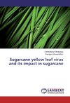 Sugarcane yellow leaf virus and its impact in sugarcane