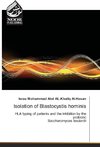 Isolation of Blastocystis hominis