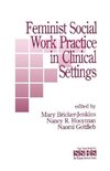 Bricker-Jenkins, M: Feminist Social Work Practice in Clinica