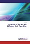 A Guide to Secure and Efficient IPv6 Transition