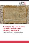 Análisis de Literatura Latinoamericana: Mutis y Zambra