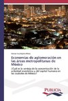 Economías de aglomeración en las áreas metropolitanas de México