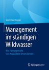 Management im ständigen Wildwasser