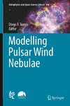 Modelling Pulsar Wind Nebulae