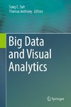 Big Data and Visual Analytics