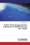 Puffer fishes (Lagocephalus sceleratus) in Mediterranean Sea, Egypt