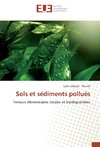 Sols et sédiments pollués