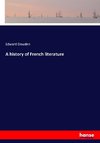 A history of French literature