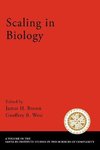 Brown, J: Scaling in Biology