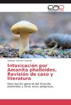 Intoxicación por Amanita phalloides. Revisión de caso y literatura