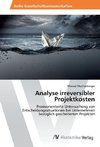 Analyse irreversibler Projektkosten