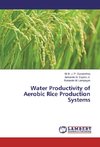 Water Productivity of Aerobic Rice Production Systems