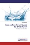 Free-surface flow induced by drop impact