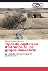 Tipos de capitales e itinerarios de los grupos domésticos