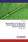 Networking and Business Performance of Medium Sized Enterprises