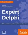 Expert Delphi