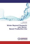 Water Beyond Domestic use: Home Based Productive Use