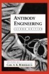 Antibody Engineering