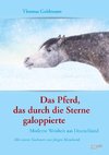 Das Pferd, das durch die Sterne galoppierte