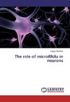 The role of microRNAs in neurons