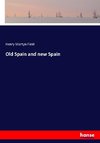 Old Spain and new Spain