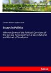 Essays in Politics