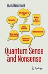 Quantum Sense and Nonsense