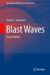 Blast Waves